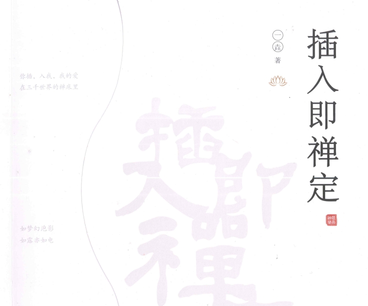 插入即禅定.pdf